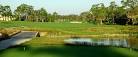 Florida Golf - A review of The Rookery at Marco Golf Club by Two ...