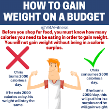 how to gain weight on a budget without
