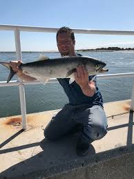 Bluefish In The Inlet Ocean City Md Fishing