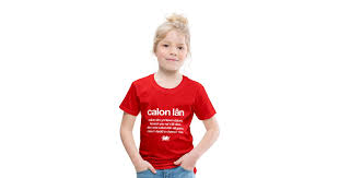 kids premium t shirt wales rugby