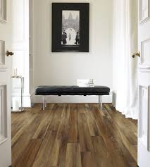 hallway with vinyl flooring ideas