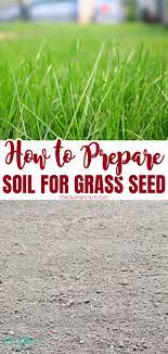 how to prepare soil for gr seed