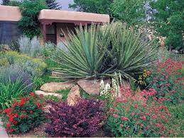 Gardening In New Mexico Is Diffe