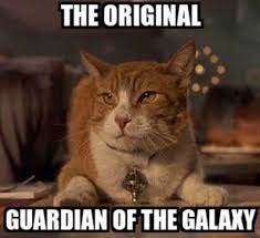 Image result for guardian of the galaxy meme