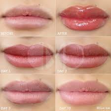 charlotte pmu lip blush training