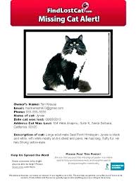 Missing Animal Flyer Template Lost Cat Word Free Pet Poster