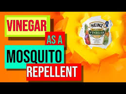 vinegar as a mosquito repellent you