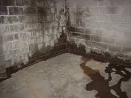Chronic Water Seepage In Your Basement