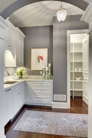 White Cabinetry Kitchen Cabinets