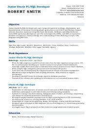 pl sql developer resume sles