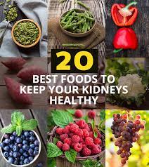23 best foods for a healthy kidney that