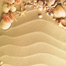 Scrapbook Customs Travel Collection 12 X 12 Paper Sea Shells And Sand