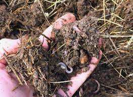 7 simple ways to improve garden soil