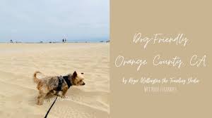 dog friendly california vacations