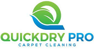 the 1 carpet cleaning in overland park