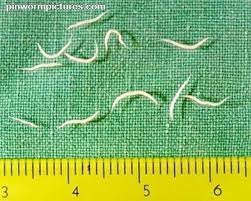 how to get rid of pinworms a mother s