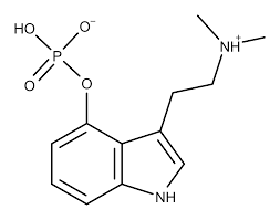 images?q=tbn:ANd9GcSV 39 Unter Magic Mushrooms versteht man eine Vielzahl von Pilzen (auf Englisch mushrooms), die die psychedelische Verbindung Psilocybin enthalten.