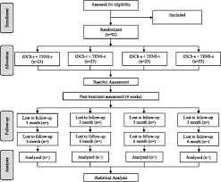Flow Chart Illustrating The Process Of The Study Tdcs And