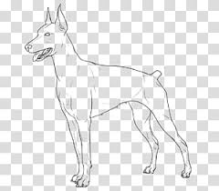 Free clip art body parts free. Free Female Doberman Line Art Dog Sketch Transparent Background Png Clipart Hiclipart