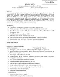 Resume Writing Services  Professional Resume National Sales Manager 