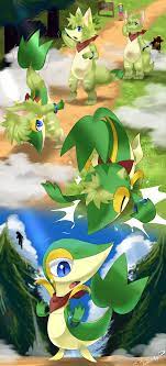 At some point i think the mirror in these tf pictures should be it's own. Com Snivy Tf By Spray Poka On Deviantart