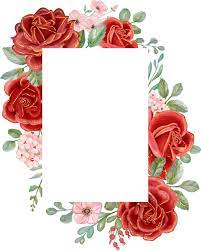 page 2 rose frame images free