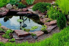 using rocks in pond design water