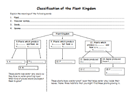 56 Clean Flow Chart Of Plant Kingdom