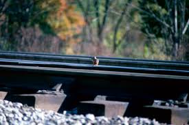 railroad track dimensions width
