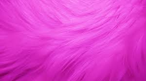 pink fur feather pink background pink