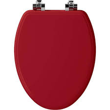 Toilet Seat In Red Never Loosens Chrome