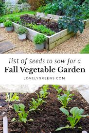 seeds to sow for your fall vegetable garden