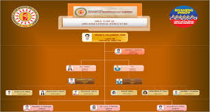 Dilg Tarlac Organizational Structure