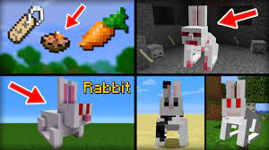 minecraft 15 things you didn t know