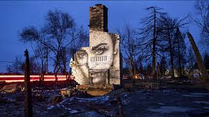 Image result for paradise camp fire recovery