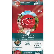 Purina One Smartblend Large Breed Puppy Chicken Recipe Dry Dog Food 31 1 Lb