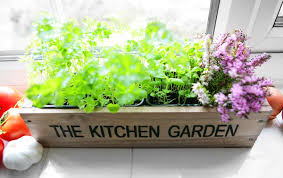 Going out to my kitchen herb garden just a few feet away from my back porch and getting just what i need for my salad, or to have a successful window herbs garden you'll need to choose a window that gets a lot of sunshine throughout the day. Kitchen Herb Garden Windowsill Planter With Seeds And Compost 29 99