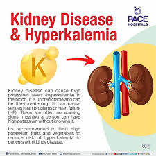 potium in patients with kidney disease