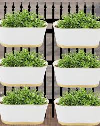 Buy White Gardening Planters For Home