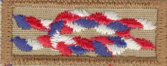 Image result for Eagle scout knot