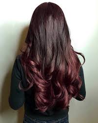 Dark plum hair on the brown side of the spectrum gives this a beautiful deep mahogany brown hair color. 15 Mahogany Hair Color Shades You Have To See
