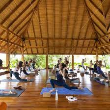 top yoga cles and retreats nosara com