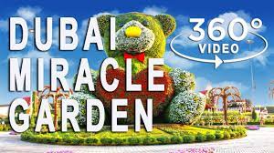 360 video dubai miracle garden uae