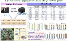 pig manure biochar for contaminated