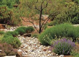 Why Be Water Wise In The Garden By