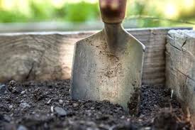 Improving Your Garden Soil The First