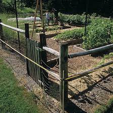 Deer Proof Electric Fence Finegardening