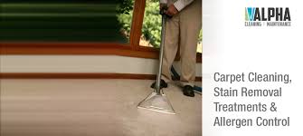 1 carpet cleaning stain removal