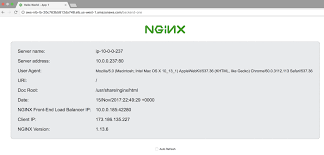 setting up an nginx demo environment
