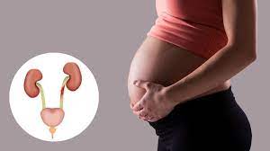 गर्भावस्था के दौरान यूरीन इन्फेक्शन के कारण, लक्षण और इलाज | UTI in  pregnancy